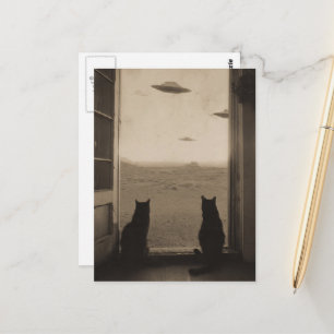 Sepia Cats and UFOs Postcard