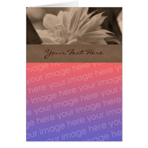 Sepia Clematis Flower Photo Card