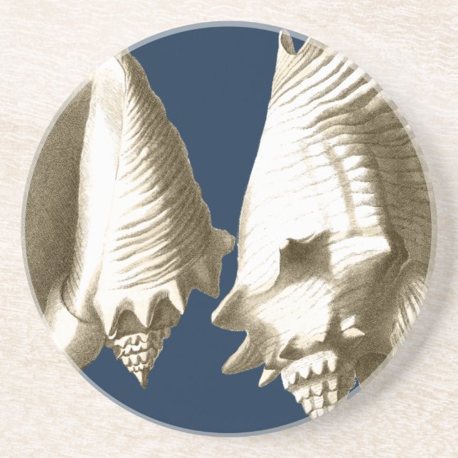 Sepia Conch Seashells Coaster (Front)