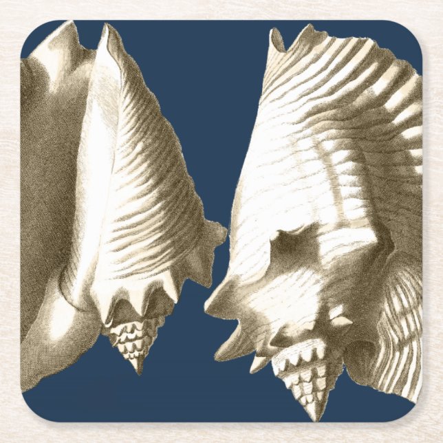 Sepia Conch Seashells Square Paper Coaster (Front)