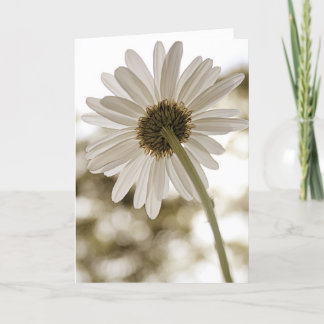 sepia daisy Hello card