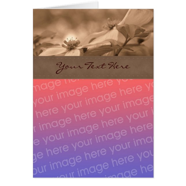 Sepia Dogwood Flower Photo Card (Front)