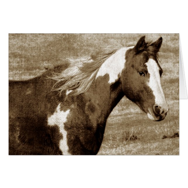 Sepia Flashy Mare (Front Horizontal)
