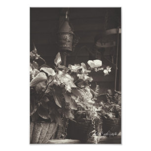 Sepia Floral Photo Print