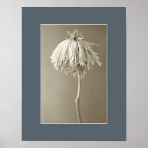 Sepia Floral Portrait Photograph Poster