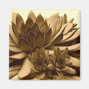 Sepia Hens and Chicks Magnet