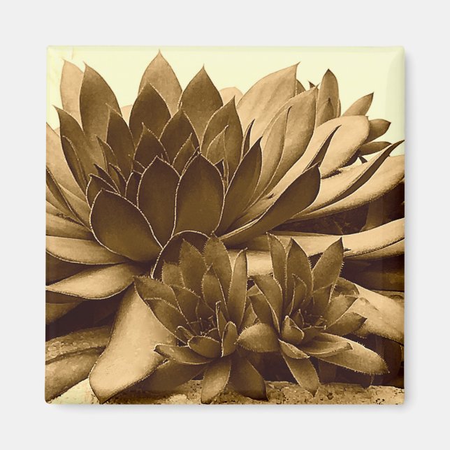 Sepia Hens and Chicks Magnet (Front)