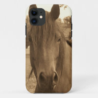 Sepia Horse