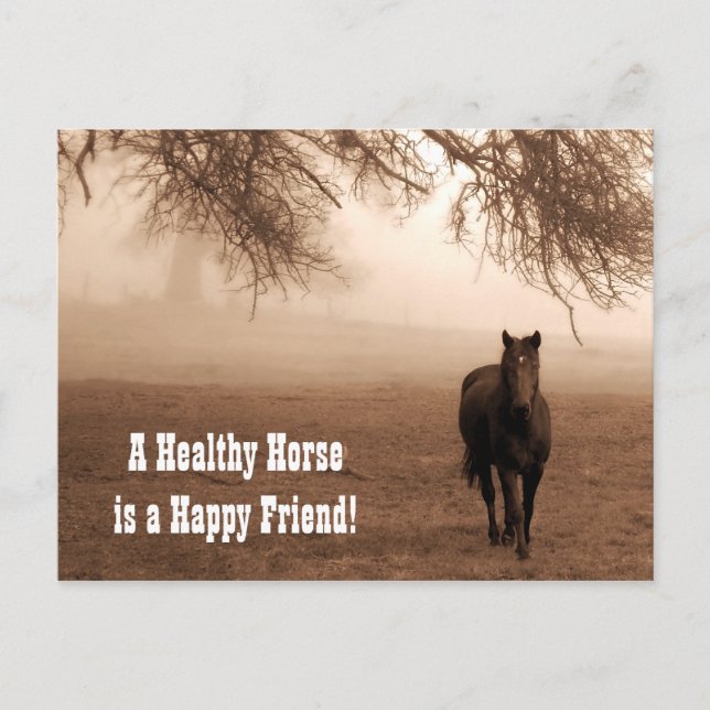 Sepia Horse with Oak Equine Veterinary Postcard (Front)