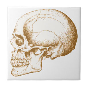 Sepia Human Skull Ceramic Tile