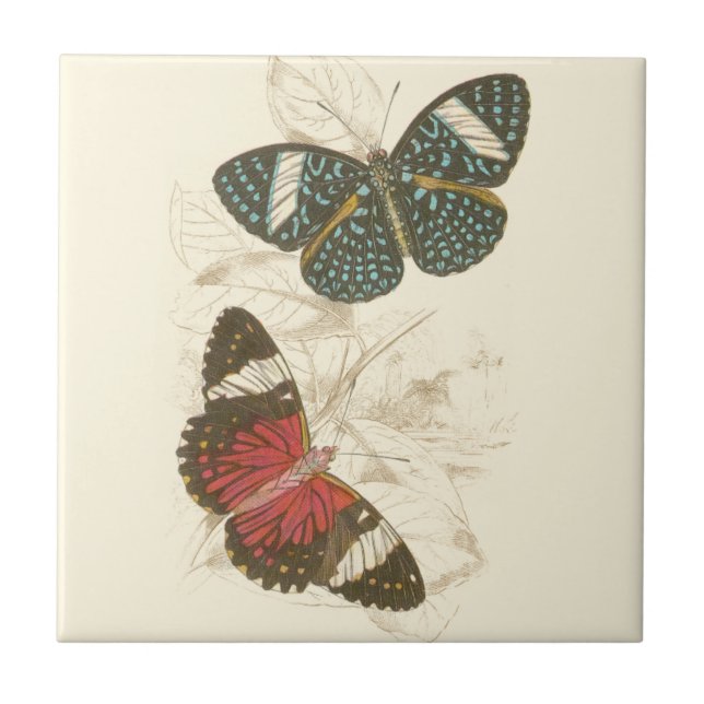 Sepia Leaves with Colourful Butterflies Ceramic Tile (Front)