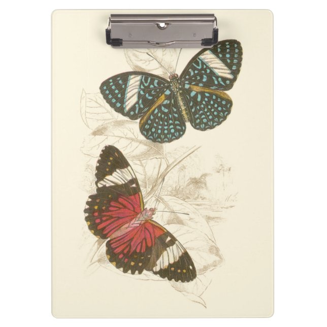 Sepia Leaves with Colourful Butterflies Clipboard (Front)