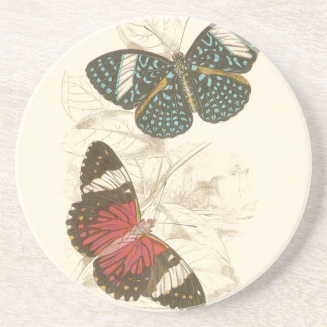 Sepia Leaves with Colourful Butterflies Coaster (Front)