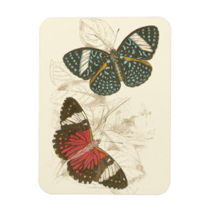 Sepia Leaves with Colourful Butterflies Magnet