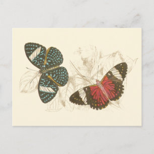 Sepia Leaves with Colourful Butterflies Postcard