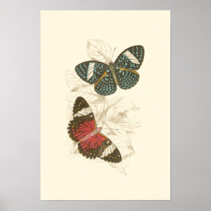 Sepia Leaves with Colourful Butterflies Poster