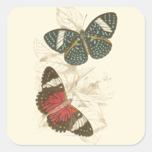 Sepia Leaves with Colourful Butterflies Square Sticker