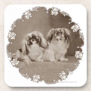 Sepia Pekingese Portrait Coaster