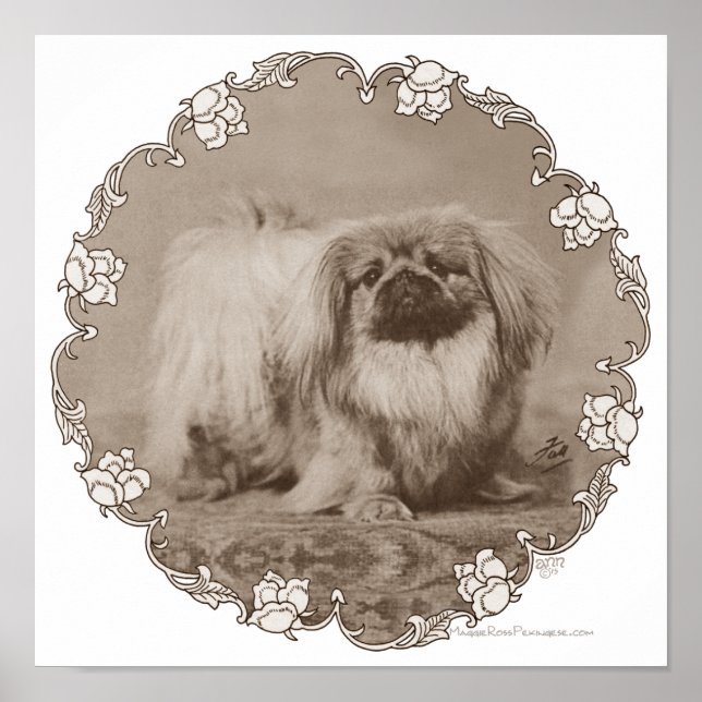 Sepia Pekingese Portrait Poster (Front)