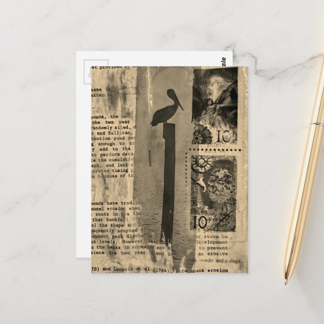 Sepia Pelican mixed media collage Postcard (Front/Back In Situ)