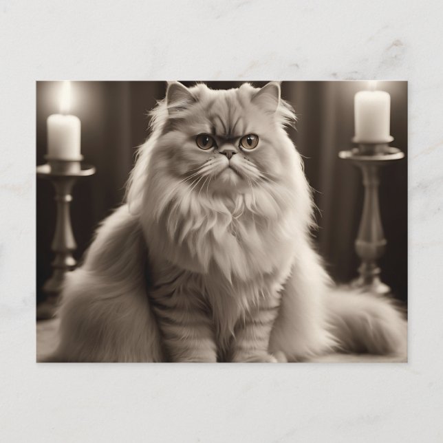 Sepia Persian Cat Portrait Timeless Elegant Postcard (Front)