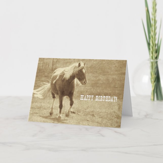 Sepia Pinto Pony Birthday Card (Front)