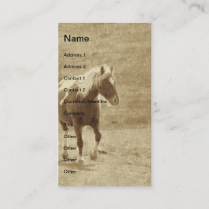 Sepia Pinto Pony Business Card