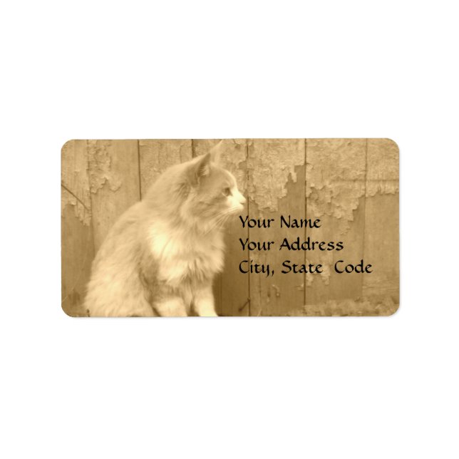 Sepia Sahara (cat) Address labels (Front)
