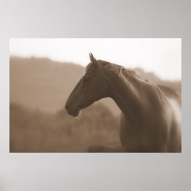 Sepia Silhouette Large Basic Poster (Front)