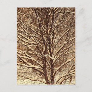 Sepia Snow Postcard