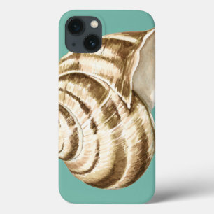 Sepia Striped Shell on Teal iPhone 13 Case