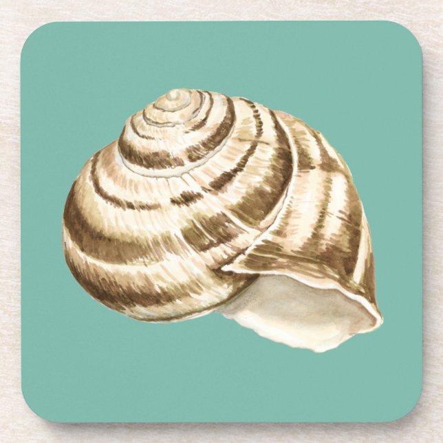 Sepia Striped Shell on Teal Coaster (Front)