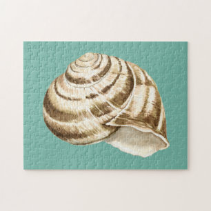 Sepia Striped Shell on Teal Jigsaw Puzzle