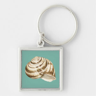Sepia Striped Shell on Teal Key Ring