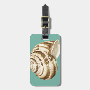 Sepia Striped Shell on Teal Luggage Tag