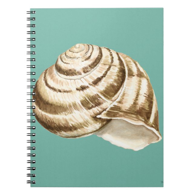 Sepia Striped Shell on Teal Notebook (Front)