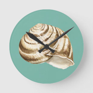 Sepia Striped Shell on Teal Round Clock