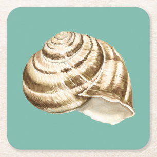 Sepia Striped Shell on Teal Square Paper Coaster