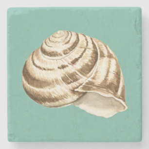 Sepia Striped Shell on Teal Stone Coaster
