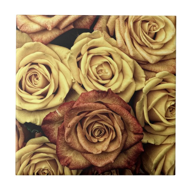 Sepia Tinted Roses Ceramic Tile (Front)