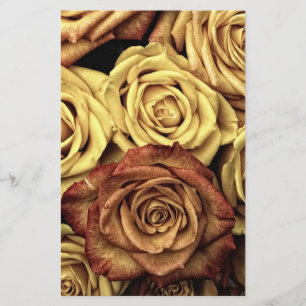 Sepia Tinted Roses Stationery
