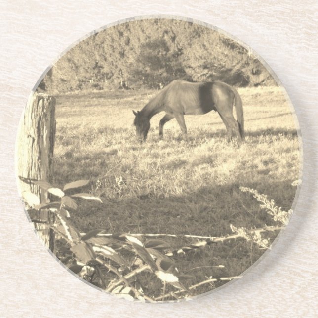 Sepia tone Brown horse and fence Coaster (Front)