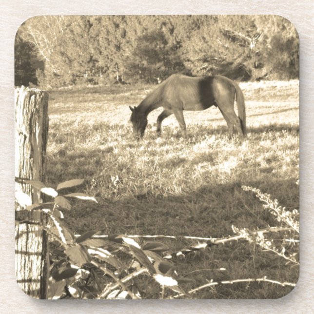Sepia tone Brown horse and fence Coaster (Front)