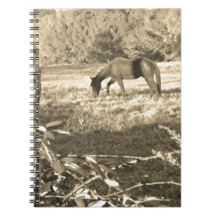 Sepia tone Brown horse and fence Notebook