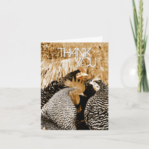 Sepia Tone Chickens Wedding Thank You Cards