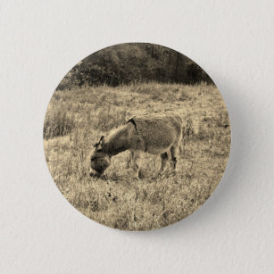Sepia Tone Donkey  in a Field. 6 Cm Round Badge