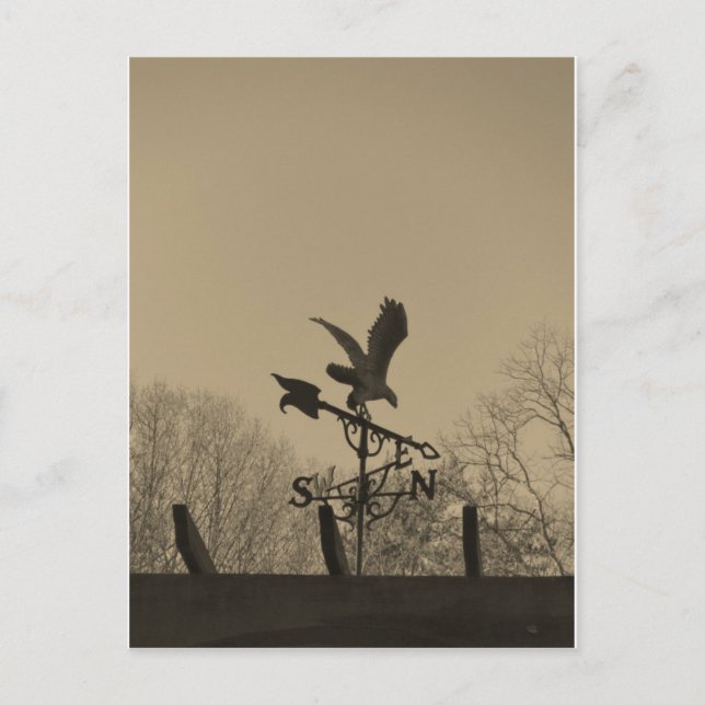 Sepia Tone Eagle Weather vane Postcard (Front)