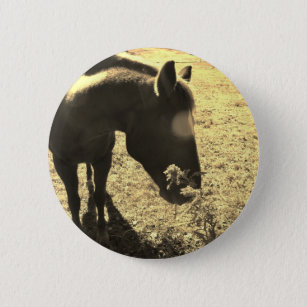 Sepia Tone  Photo of  brown Horse with flowers 6 Cm Round Badge