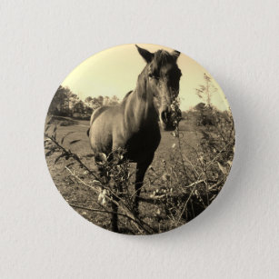 Sepia Tone  Photo of  brown Horse with flowers 6 Cm Round Badge