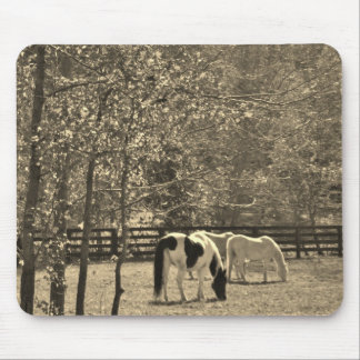 Sepia Tone Photo of Horse Mouse Pad